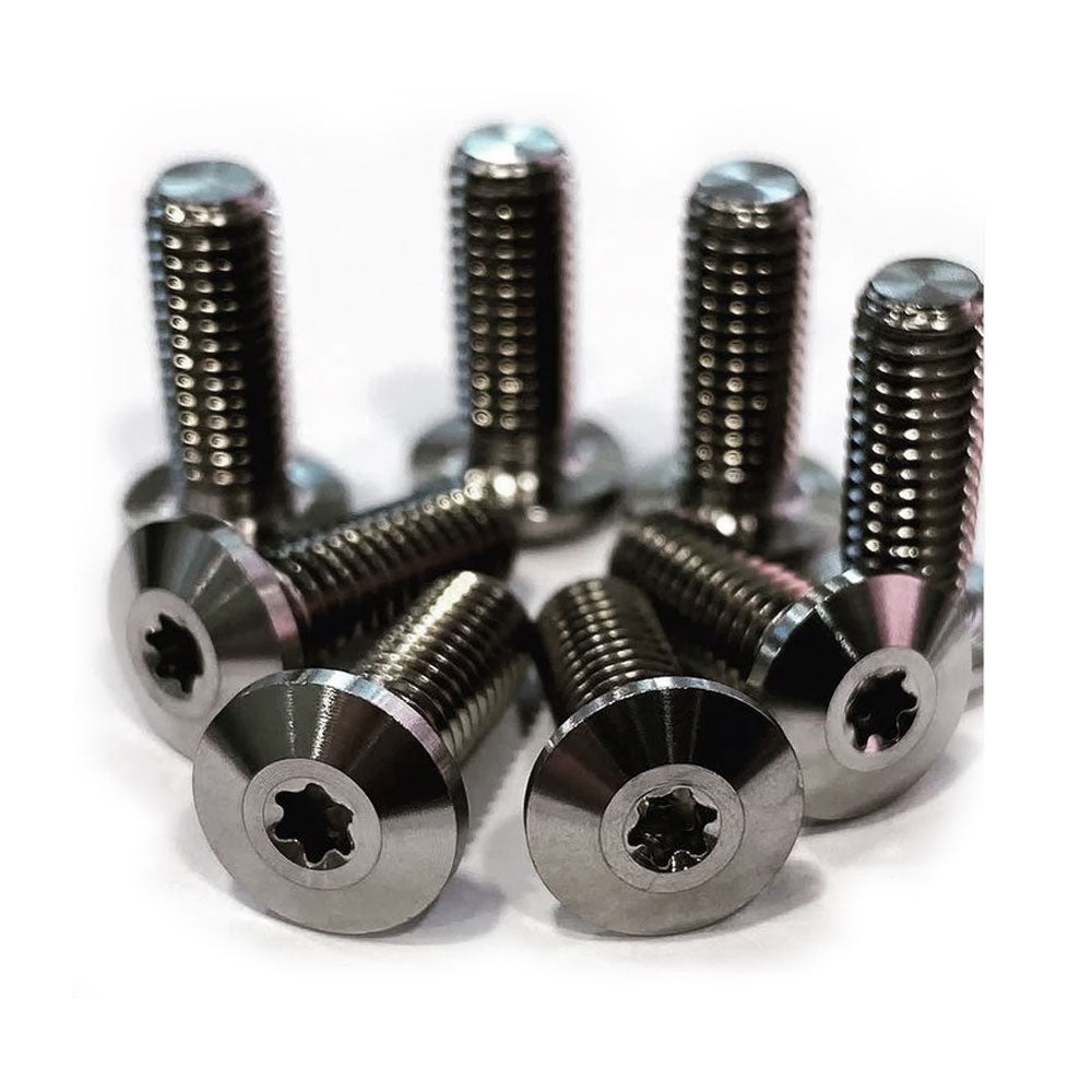 Titanium M5x14 TX10 Machine Screws